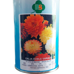 Semilla Dalia Doble Variado 50gr, Flores Corte, Royal Seeds