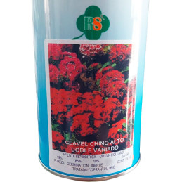 Semilla Clavel Chino Alto Doble Variado 50gr, Semilla Dianthus chinesis Flores Corte, Royal Seeds