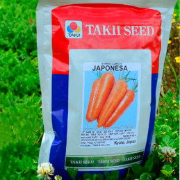 Zanahoria Japonesa 300gr, Semillas de Zanahoria Hibrido F1, Takii