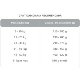  Kongo Gold Adultos 15Kg, Alimento Premium Caninos Adultos Medianos Grandes, Kongo 152.542373 Kongo Gold Adultos 15Kg, Alimento 