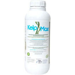 Soluplant KelpMax 1L, Extractos de Algas Marinas Activador Fisiologico, Blue Heron
