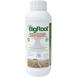 Soluplant Bigroot 1L, Extracto de Algas Aminoacidos Libres Enraizante Bioestimulante, Blue Heron
