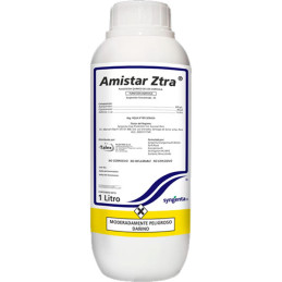 Amistar Ztra 1L, Azoxystrobin+Ciproconazol Fungicida Agricola Sistemico Preventivo Curativo, Syngenta
