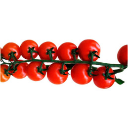  Tomate Vispo 1000 Semillas Cherry Redondo Hibrido F1 Invernadero, Cora Seeds 1423.728814 Tomate Vispo 1000 Semillas Cherry Redo