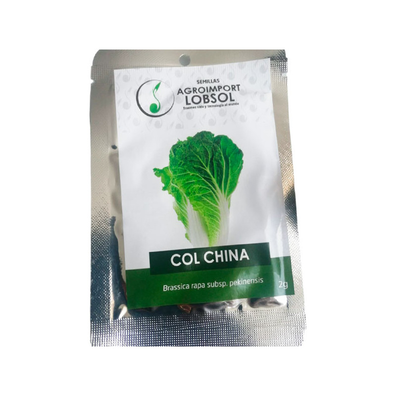  Col China 2gr Semillas Brassica Rapa subsp. Pekinensis Variedad 4.237288 Col China 2gr Semillas Brassica Rapa subsp. Pekinensis