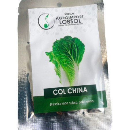 Col China 2gr Semillas Brassica Rapa subsp. Pekinensis Variedadad