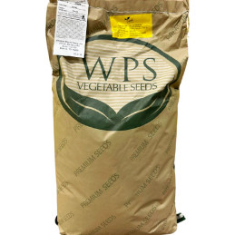 Vainita Jade 25Kg, Semillas Variedad Americana Western Pacific Seed, WPS Vegetable Seed