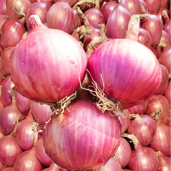 Cortadora de cebollas Onion King
