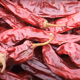  Aji Paprika 500gr Semilla Pepper Dulce Variedad OP Formato King, San Martin 450.847458 Aji Paprika 500gr Semilla Pepper Dulce V