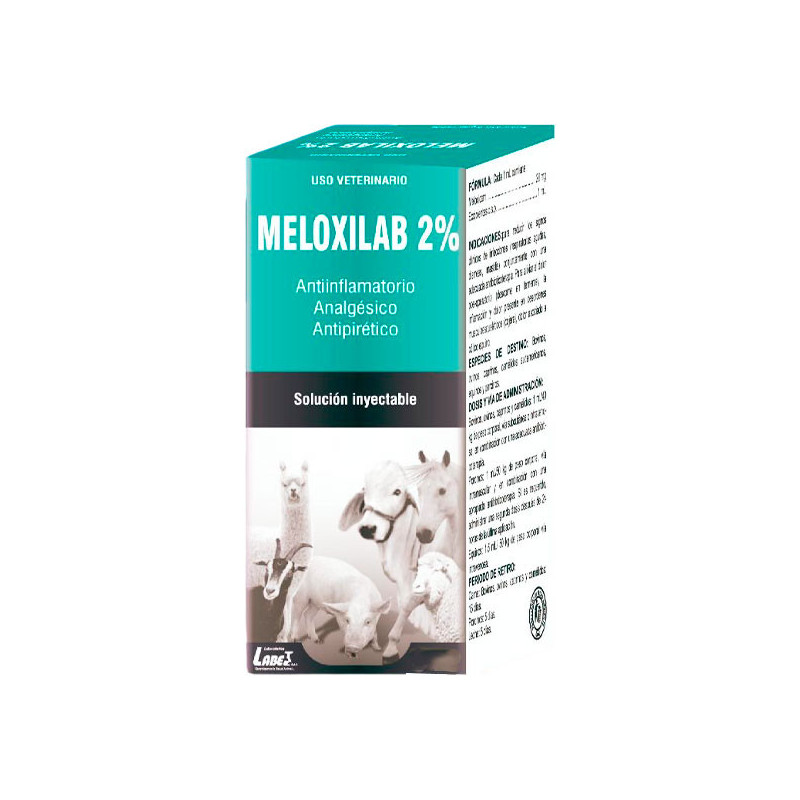 Meloxilab 2% 20ml Meloxicam Antibiotico Antiinflamatorio Inyectable, Labet 11.016949 Meloxilab 2% 20ml Meloxicam Antibiotico An Meloxilab 2% 20ml Meloxicam Antibiotico Antiinflamatorio Inyectable, Labet 11.016949 Meloxilab 2% 20ml Meloxicam Antibiotico An