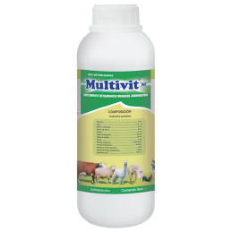Multivit NF 1L Reconstituyente Vitaminico Energizante Antiestresante Sol Oral, Labet