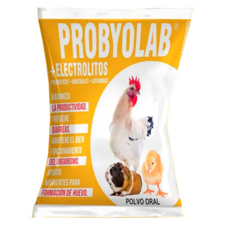  Probyolab+Electrolitos 100gr Probioticos Suplemento Vitaminico Polvo Soluble, Labet 18.644068 Probyolab+Electrolitos 100gr Prob