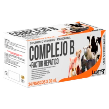  Complejo B+FH 30ml Pack x 24und Suplemento Vitaminico Factor Hepatico Susp Oral, Labet 110.169492 Complejo B+FH 30ml Pack x 24u