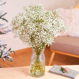  Gypsophila 1000 Semillas cerastitoides Covent White Flor Corte Jardin 46.999999 Gypsophila 1000 Semillas cerastitoides Covent W