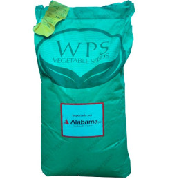  Vainita Jade 5Kg Semilla Hibrida F1 Vegetables Seeds, Alabama 211.864407 Vainita Jade 5Kg Semilla Hibrida F1 Vegetables Seeds, 