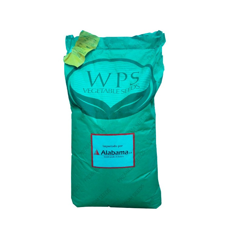 Vainita Jade 5Kg Semilla Hibrida F1 Vegetables Seeds, Alabama 211.864407 Vainita Jade 5Kg Semilla Hibrida F1 Vegetables Seeds, Vainita Jade 5Kg Semilla Hibrida F1 Vegetables Seeds, Alabama 211.864407 Vainita Jade 5Kg Semilla Hibrida F1 Vegetables Seeds,