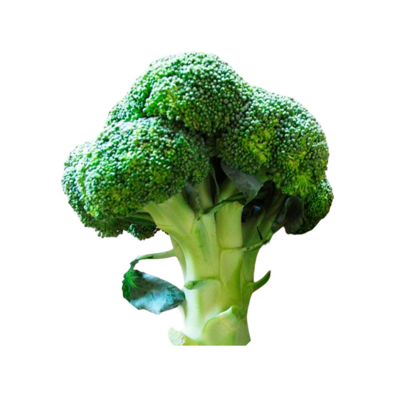  Brocoli Calabrese 500gr, Semillas OP Variedad 81.355932 Brocoli Calabrese 500gr, Semillas OP Variedad
Variedad de alto rendimie