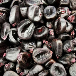  Maiz Morado 25Kg Semillas Granel Variedad OP Nacional 521.186441 Maiz Morado 25Kg Semillas Granel Variedad OP Nacional
Variedad