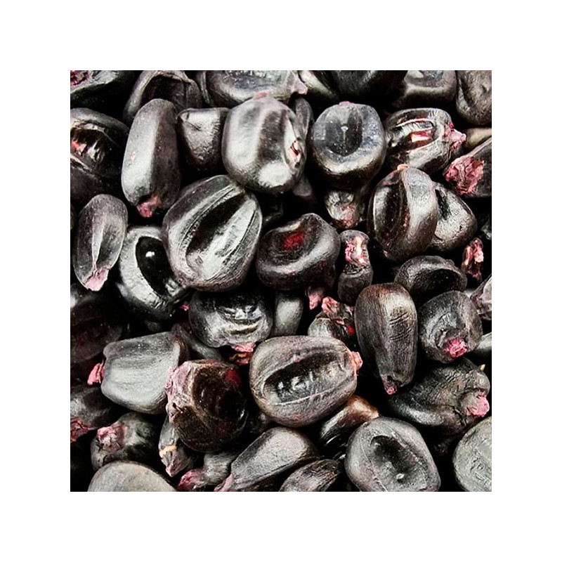  Maiz Morado 25Kg Semillas Granel Variedad OP Nacional 521.186441 Maiz Morado 25Kg Semillas Granel Variedad OP Nacional
Variedad