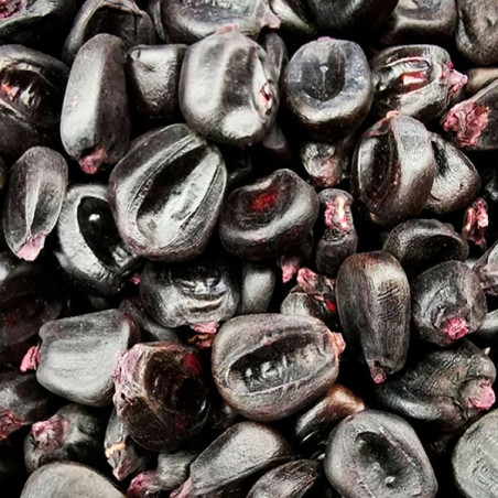  Maiz Morado 25Kg Semillas Granel Variedad OP Nacional 521.186441 Maiz Morado 25Kg Semillas Granel Variedad OP Nacional
Variedad