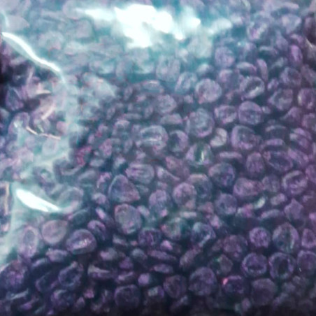  Maiz Morado 1Kg Semillas Granel Variedad OP Nacional 27.118644 Maiz Morado 1Kg Semillas Granel Variedad OP Nacional
Variedad na
