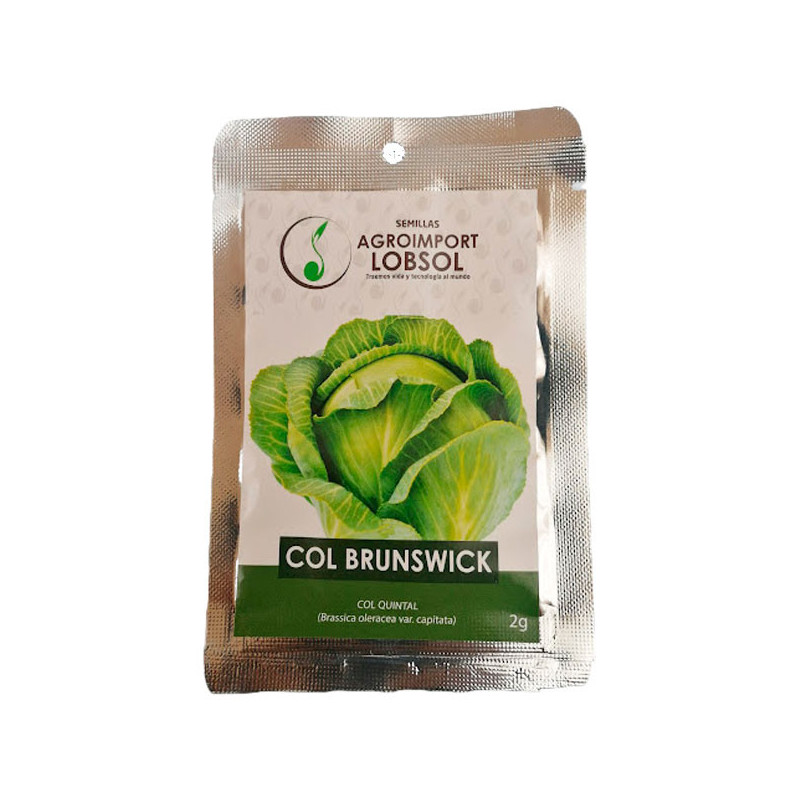 Col Repollo 2gr, Semillas de Col Brunswick 3.813559 Col Repollo 2gr, Semillas de Col Brunswick
Variedad tardía con plantas de t Col Repollo 2gr, Semillas de Col Brunswick 3.813559 Col Repollo 2gr, Semillas de Col Brunswick
Variedad tardía con plantas de t
