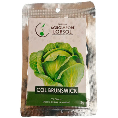  Col Repollo 2gr, Semillas de Col Brunswick 3.813559 Col Repollo 2gr, Semillas de Col Brunswick
Variedad tardía con plantas de t
