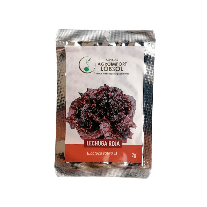  Lechuga Roja 2gr Semillas Lactuca Sativa 4.237288 Lechuga Roja 2gr Semillas Lactuca Sativa
 HO-AIL-01826A 1 AGLobsol