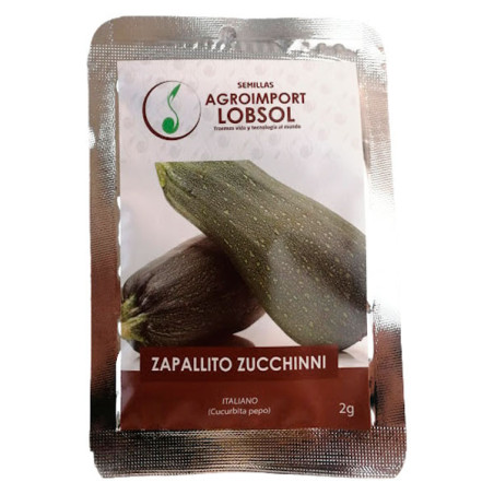  Zapallito Gray Zucchinni 2gr Semillas Variedad Italiano 3.389831 Zapallito Gray Zucchinni 2gr Semillas Variedad Italiano
 HO-AI