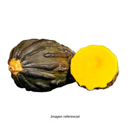  Zapallito Loche 500gr Cucurbita moschata Duchesne Variedad OP Nacional 291.525424 Zapallito Loche 500gr Cucurbita moschata Duch
