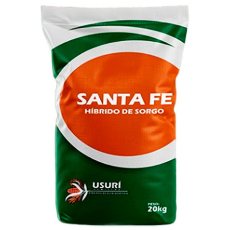 Gambo E Semi Del Sorgo Dolce - Combustibile Biologico Ed Alimento - Orizzontale Fotografia Stock - Foto 11