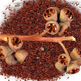  Eucalipto Rosado 500gr Semillas Eucalyptus grandis Costa Valles Interandinos Forestal 529.661017 Eucalipto Rosado 500gr Semilla