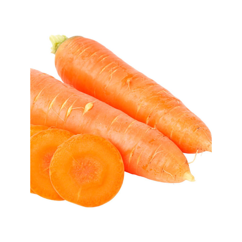 Zanahoria Monalisa 500gr Semillas Hirbido F1 Tipo Kuroda PanDia Seeds 444.067797 Zanahoria Monalisa 500gr Semillas Hirbido F1 T Zanahoria Monalisa 500gr Semillas Hirbido F1 Tipo Kuroda PanDia Seeds 444.067797 Zanahoria Monalisa 500gr Semillas Hirbido F1 T