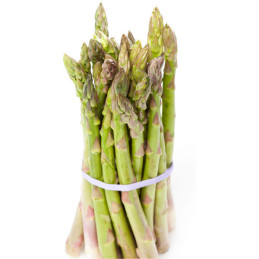  Esparrago UC 157 500gr Semillas Hibrido F1 Americana Pandia Seeds 2069.491525 Esparrago UC 157 500gr Semillas Hibrido F1 Americ