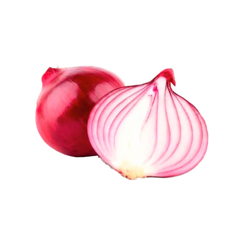  Cebolla Rosalina 100000 Semillas Hibrido F1 Rosada Costa PanDia Seeds 400 Cebolla Rosalina 100000 Semillas Hibrido F1 Rosada Co