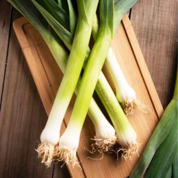 Poro Carentan 100gr Semillas Feltrin 56.779661 Poro Carentan 100gr Semillas Feltrin
Planta verde oscura, cultivo todo el año
Ci