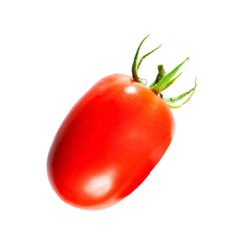  Tomate Galio 5000 Semillas Hibrido F1 Tipo Determinado Rodeo Seeds 1230.508475 Tomate Galio 5000 Semillas Hibrido F1 Tipo Deter