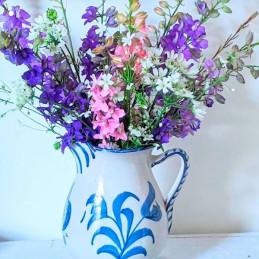  Espuela de Caballero 5000 Semillas Delphinium ambigua Larkspur Imperial Giants Mix Flor Corte 80.508475 Espuela de Caballero 50