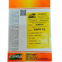  Tomate Vispo 1000 Semillas Cherry Redondo Hibrido F1 Invernadero, Cora Seeds 1423.728814 Tomate Vispo 1000 Semillas Cherry Redo