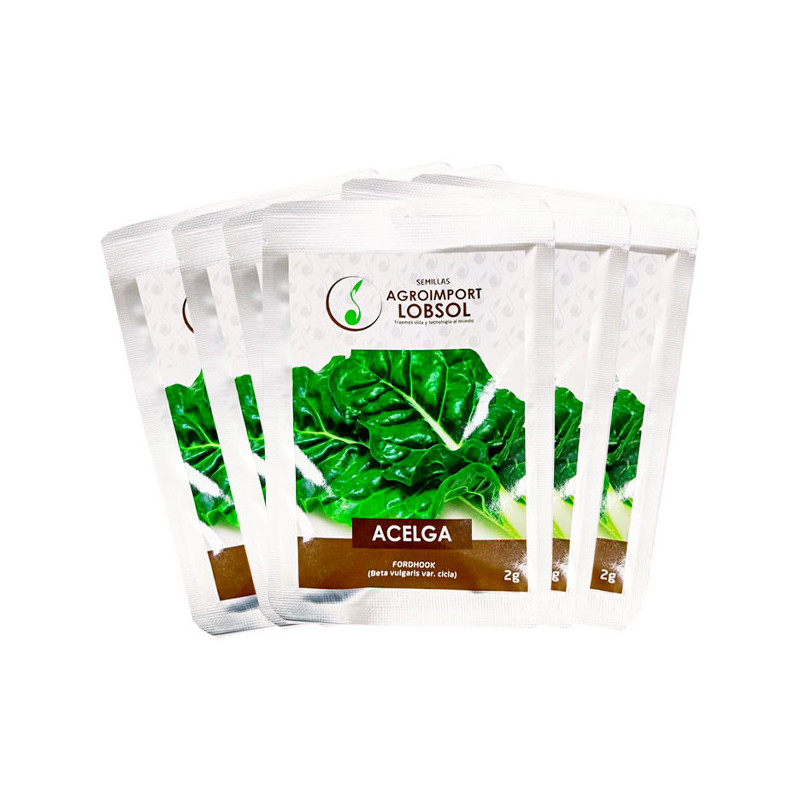 Acelga Fordhook 2gr Semillas Pack X25Sobres Variedad Hortalizas Huerto 74.576271 Acelga Fordhook 2gr Semillas Pack X25Sobres Va Acelga Fordhook 2gr Semillas Pack X25Sobres Variedad Hortalizas Huerto 74.576271 Acelga Fordhook 2gr Semillas Pack X25Sobres Va