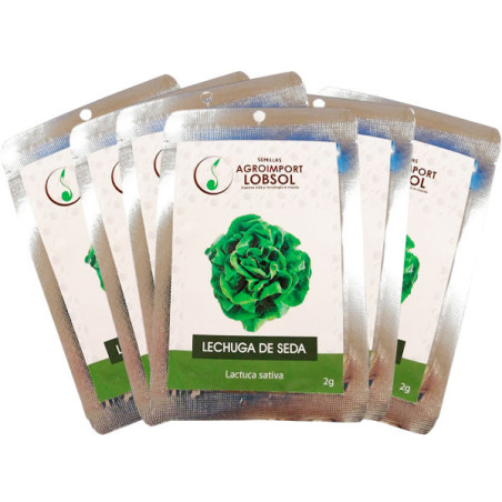  Lechuga de Seda 2gr Semillas Pack X25Sobres Variedad Hortalizas Huerto 74.576271 Lechuga de Seda 2gr Semillas Pack X25Sobres Va
