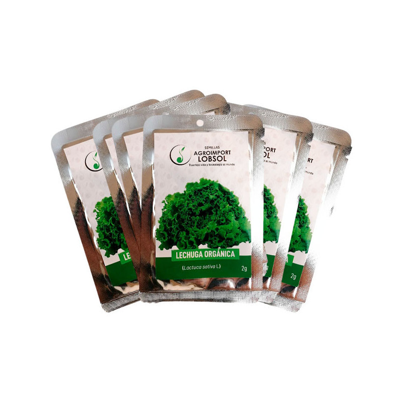  Lechuga Crespa 2gr Semillas Pack X25Sobres Variedad Hortalizas Huerto 74.576271 Lechuga Crespa 2gr Semillas Pack X25Sobres Vari