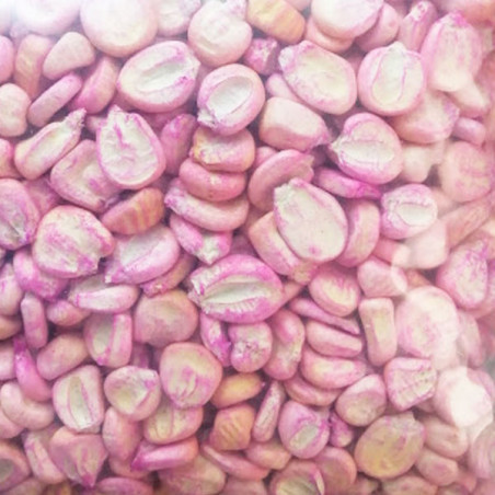  Maiz Cusqueño 1Kg Semillas Granel Variedad OP Nacional 24.576271 Maiz Cusqueño 1Kg Semillas Granel Variedad OP Nacional
Varieda