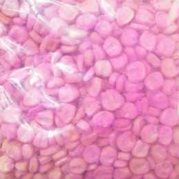  Maiz Chancayano 1Kg Semillas Granel Variedad OP Nacional 25.423729 Maiz Chancayano 1Kg Semillas Granel Variedad OP Nacional
Pre