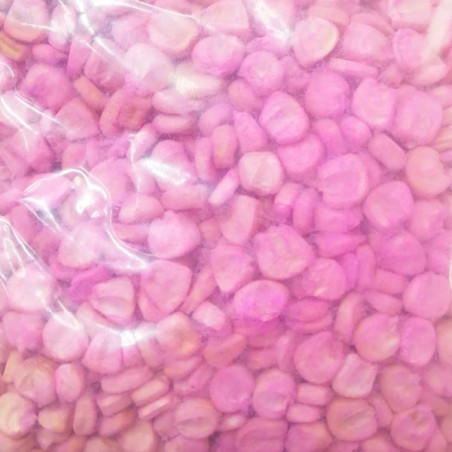  Maiz Chancayano 1Kg Semillas Granel Variedad OP Nacional 25.423729 Maiz Chancayano 1Kg Semillas Granel Variedad OP Nacional
Pre