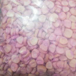  Maiz Pardo Diente de Mula 1Kg Semillas Granel Variedad OP Nacional 30.508475 Maiz Pardo Diente de Mula 1Kg Semillas Granel Vari
