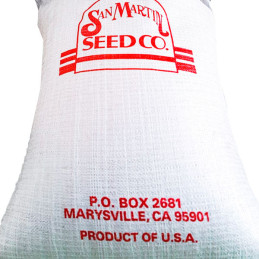  Culantro Long Standing 25Kg Semillas Variedad San Martin 1061.864407 Culantro Long Standing 25Kg Semillas Variedad San Martin
P