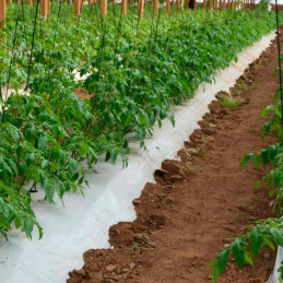  Plastico Mulch Agricola Bicapa BL/NE 1.40 x 1000M 25Micras, Solplast 699.152542 Plastico Mulch Agricola Bicapa BL/NE 1.40 x 100