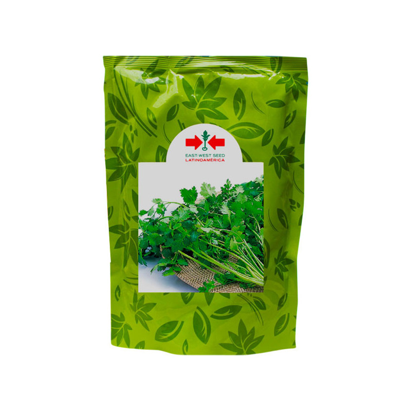 Culantro Ramses 500gr Variedad Verde Intenso, East West Seed 44.067797 Culantro Ramses 500gr Variedad Verde Intenso, East West Culantro Ramses 500gr Variedad Verde Intenso, East West Seed 44.067797 Culantro Ramses 500gr Variedad Verde Intenso, East West