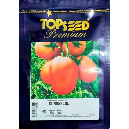  Tomate Durino 5000semillas, Semilla de tomate determinado hibrido F1 Tipo Saladette, Topseed 1250.847458 Tomate Durino 5000semi